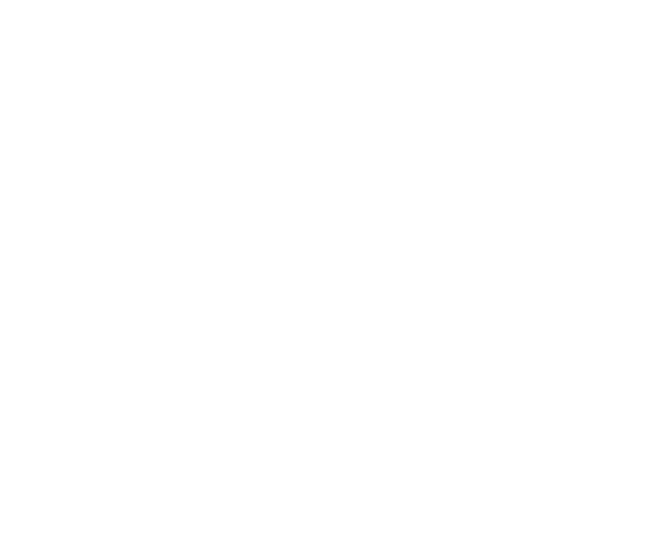 Logo CleanPro Italia