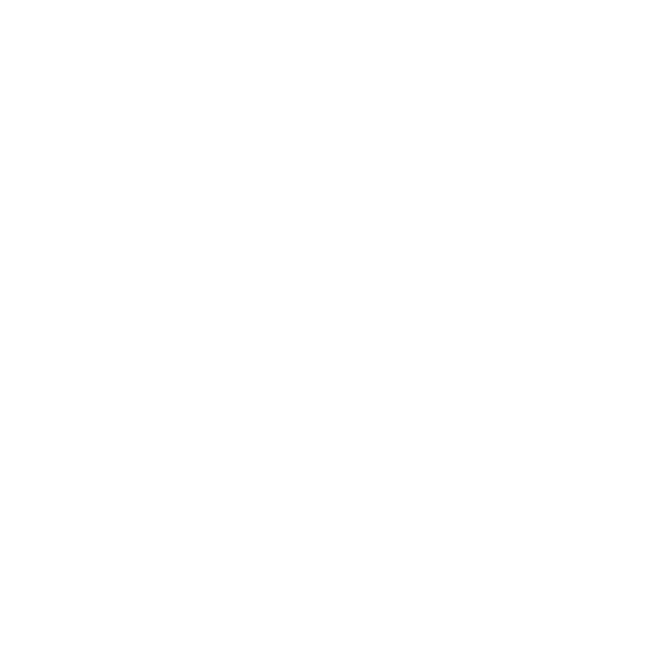 Emblema Solidarietà Viva ETS